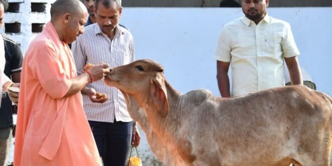 उत्तर प्रदेश में 74 करोड़ 21 लाख से गौ पालकों को स्वावलंबी बनाएगी योगी सरकार