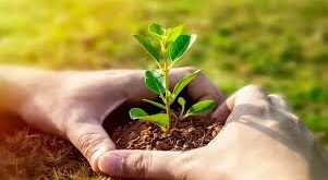 हिमाचल में जैविक खेती को बढ़ावा, किसानों को लाभ के साथ प्रेरित किया जा रहा